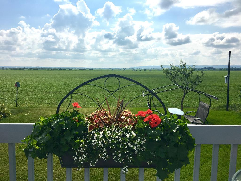 Champ Soleil Bed & Breakfast Metabetchouan-Lac-a-la-Croix Luaran gambar